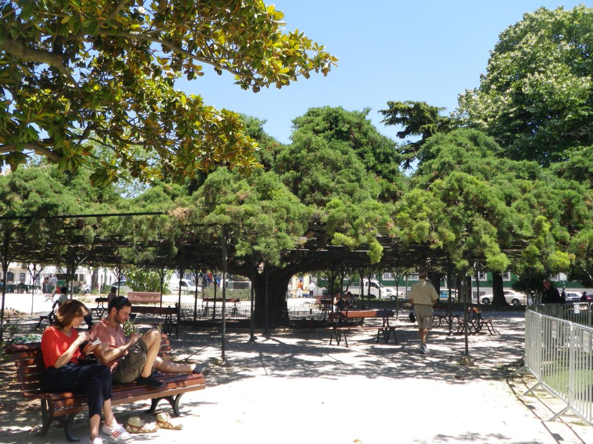 Lovelystay - Artsy Real Lisboa Εξωτερικό φωτογραφία
